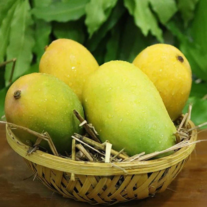 Kesar-Mangoes_3-840x840