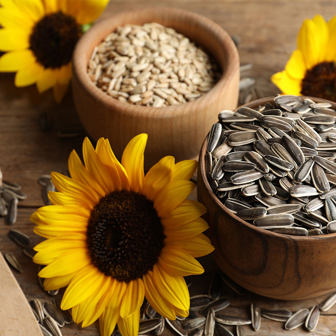 sunflower-seeds_01